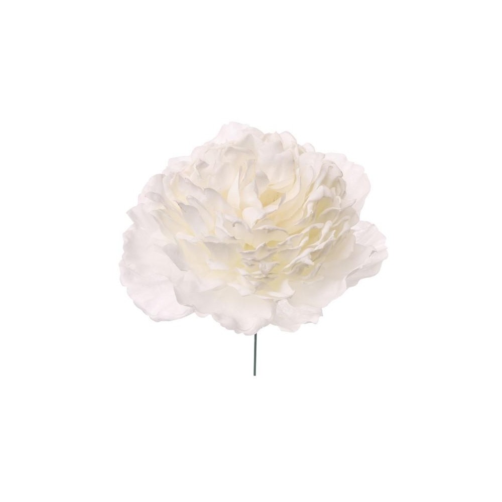 PICK PEONIA CM12 WHITE